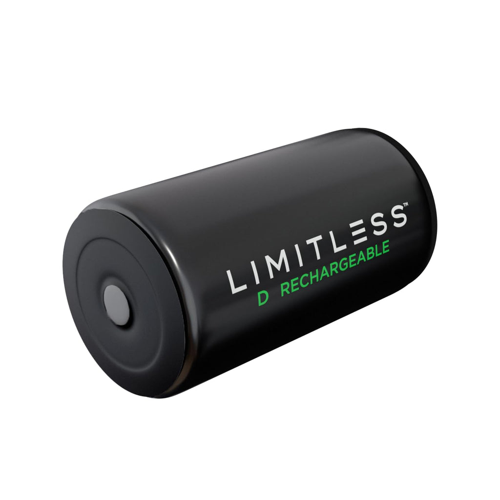 Rechargeable D Batteries 4-Pack with Charger T706686