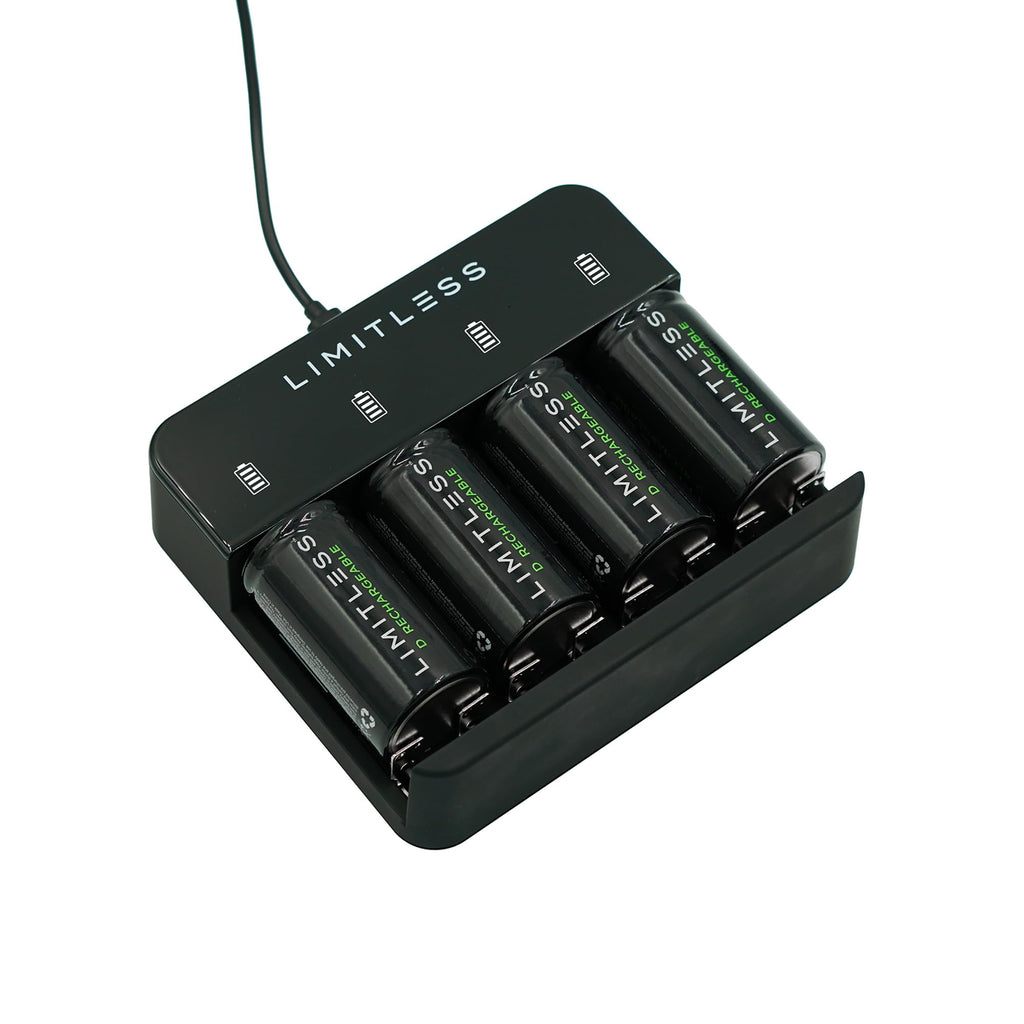 Rechargeable D Batteries 4-Pack with Charger T706686
