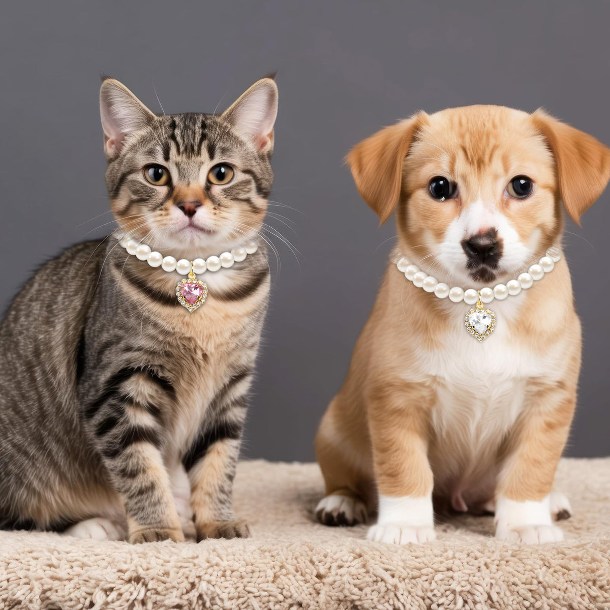 Pink White Pearl Cat Dog Collar M150500