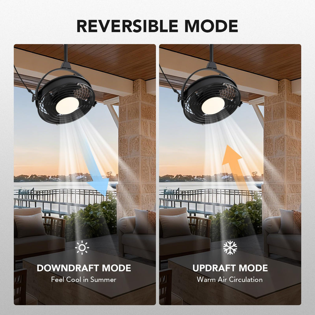 20" Outdoor Ceiling Fan with Lights R7982