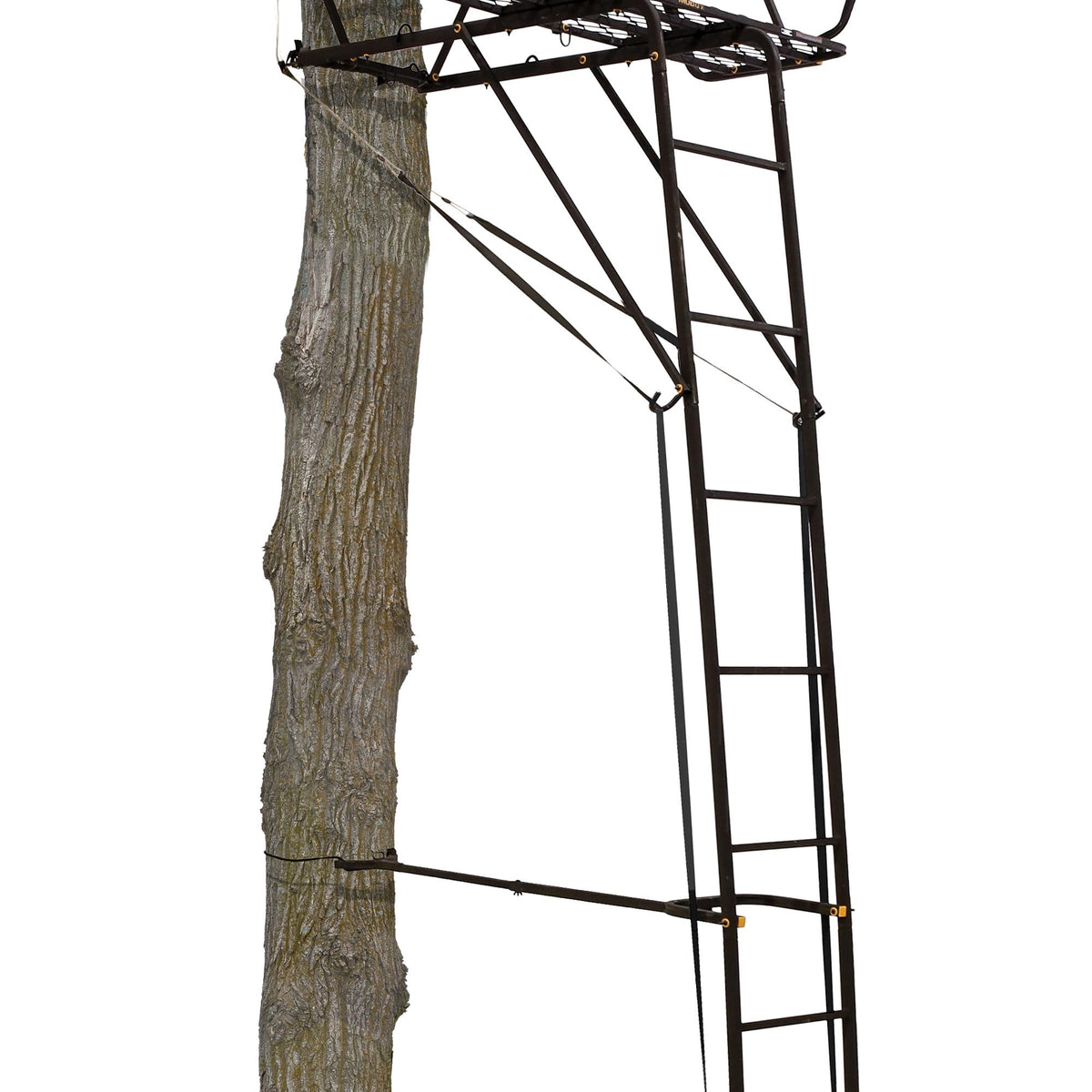 Hunting Deer Ladder Stand 20 ft with Blind Kit G344