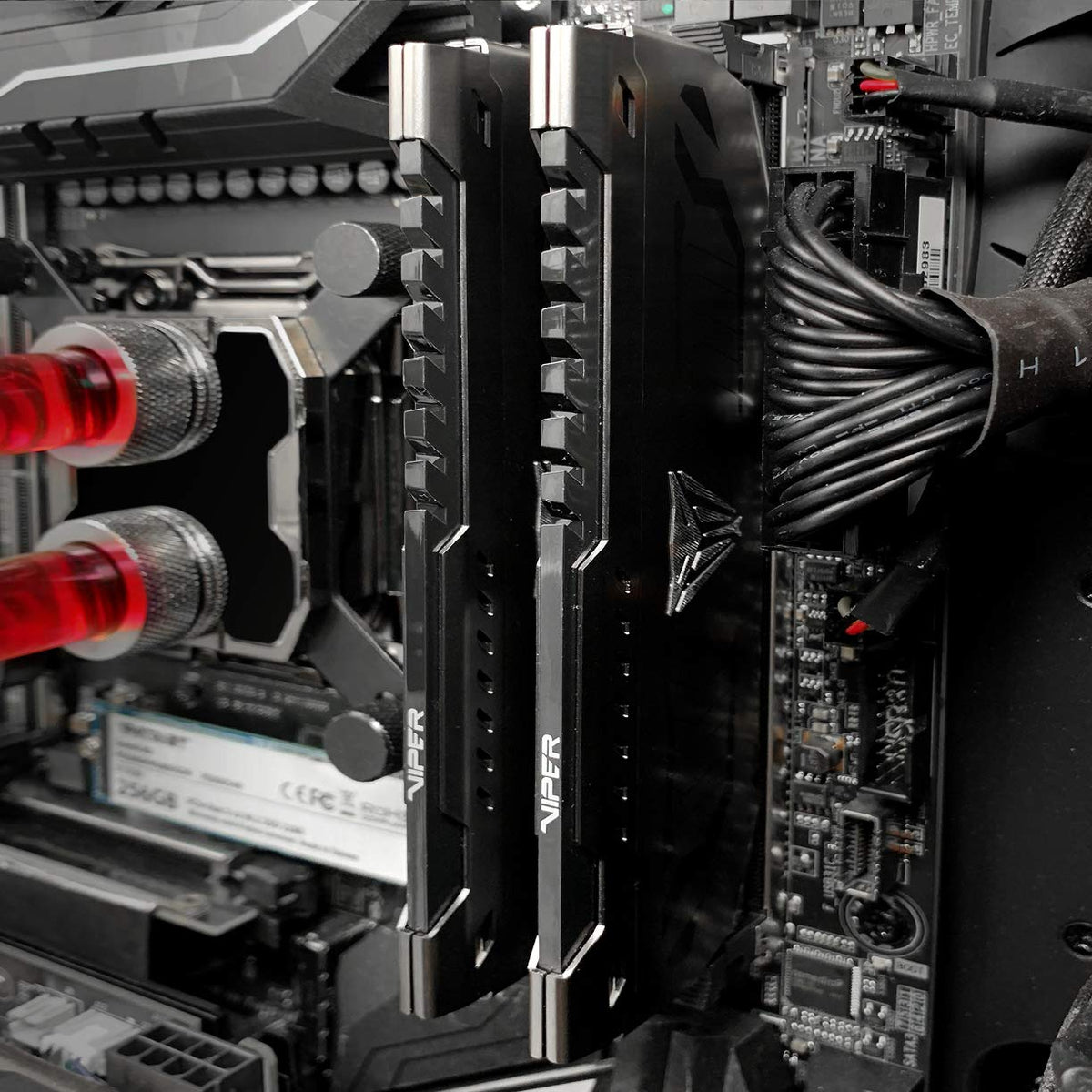 DDR4 RAM 16GB 3600MHz Desktop Memory W3653