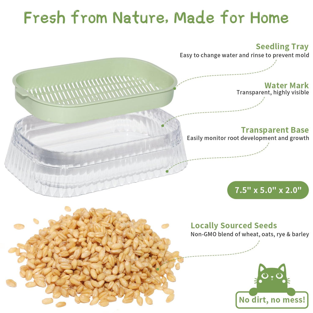 Hydroponic Cat Grass Grow Kit with 5Pack Non GMO Seeds B860
