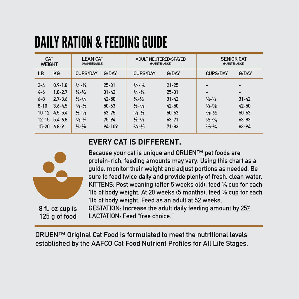 Grain Free Dry Cat Food 4lb Bag A952775