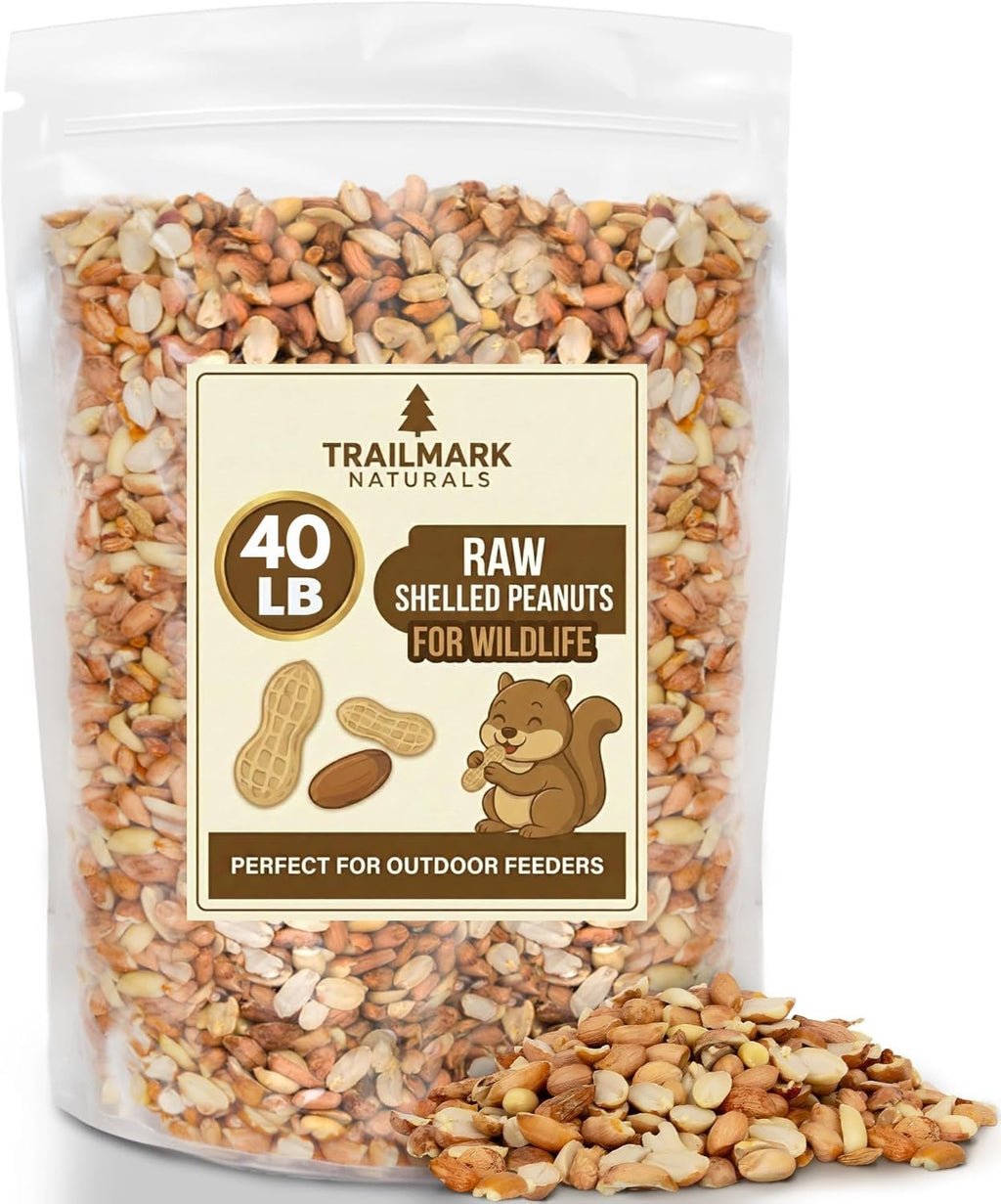 Raw Shelled Peanuts L560741