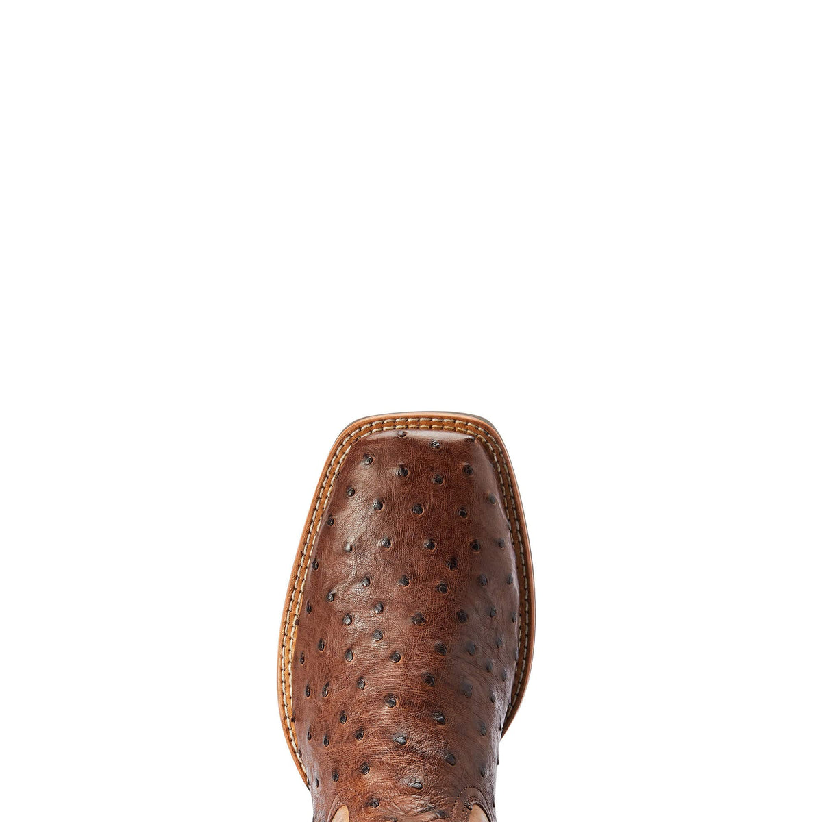 Western Boot S159