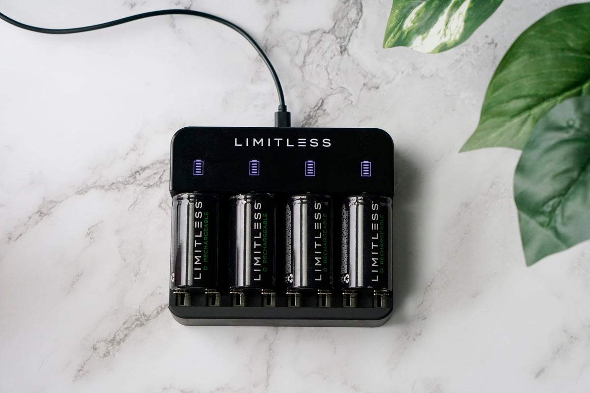 Rechargeable D Batteries 4-Pack with Charger T706686