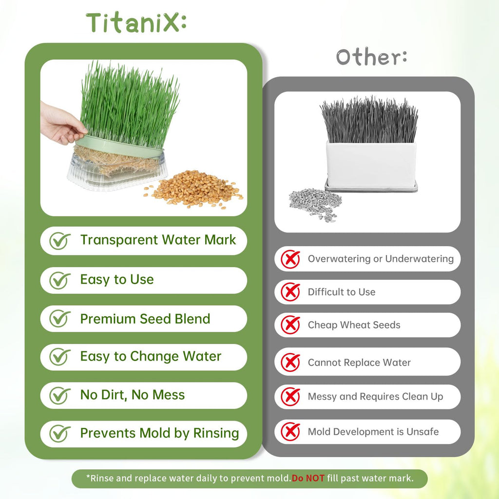 Hydroponic Cat Grass Grow Kit with 5Pack Non GMO Seeds B860