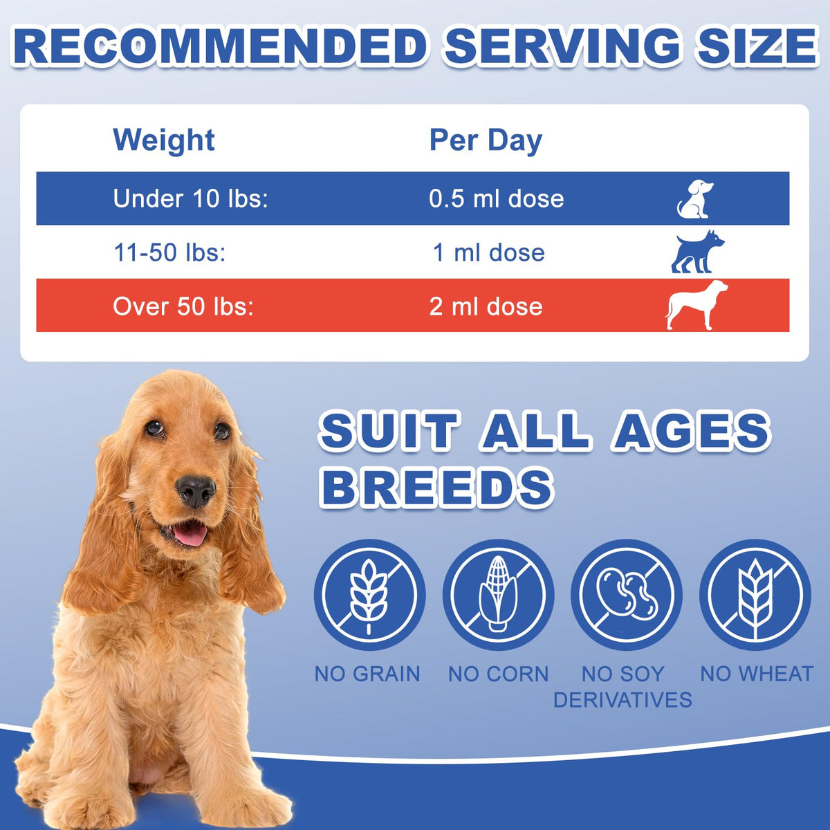 Vitamin B12 Liquid for Dogs Z561658