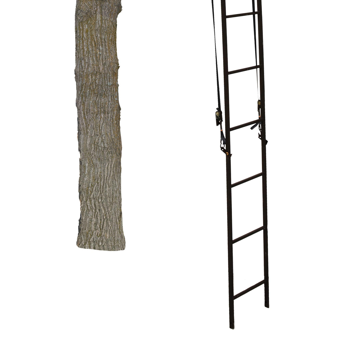 Hunting Deer Ladder Stand 20 ft with Blind Kit G344