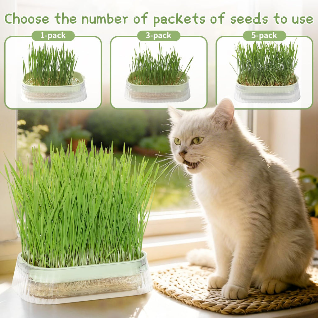 Hydroponic Cat Grass Grow Kit with 5Pack Non GMO Seeds B860