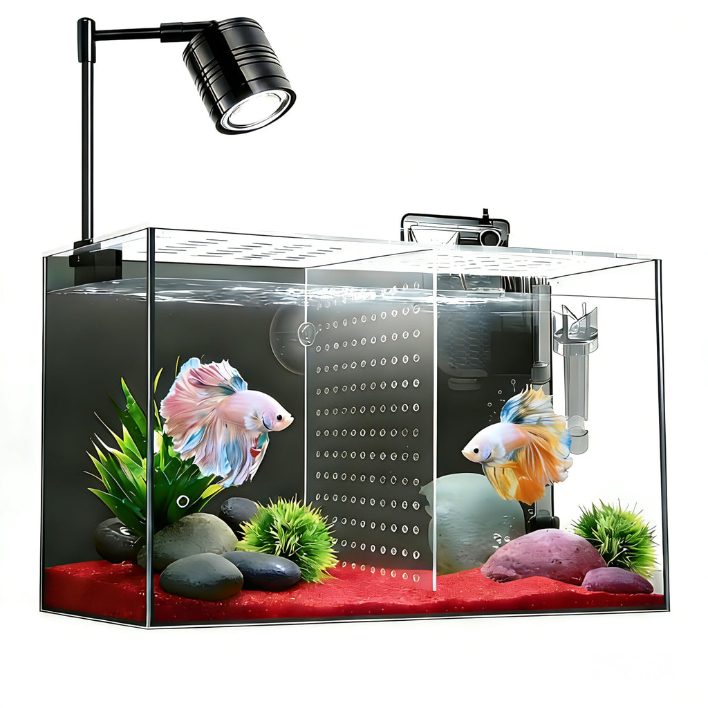 3 Gallon Ultra-Clear Glass Fish Tank with Filter and Led Light B756