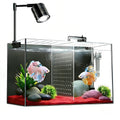 3 Gallon Ultra-Clear Glass Fish Tank with Filter and Led Light B756