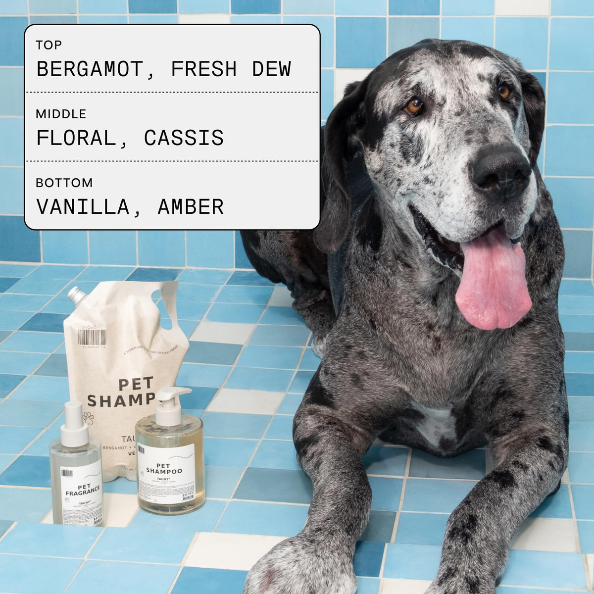 Pet Shampoo & Fragrance Bundle Dog Grooming Set V599