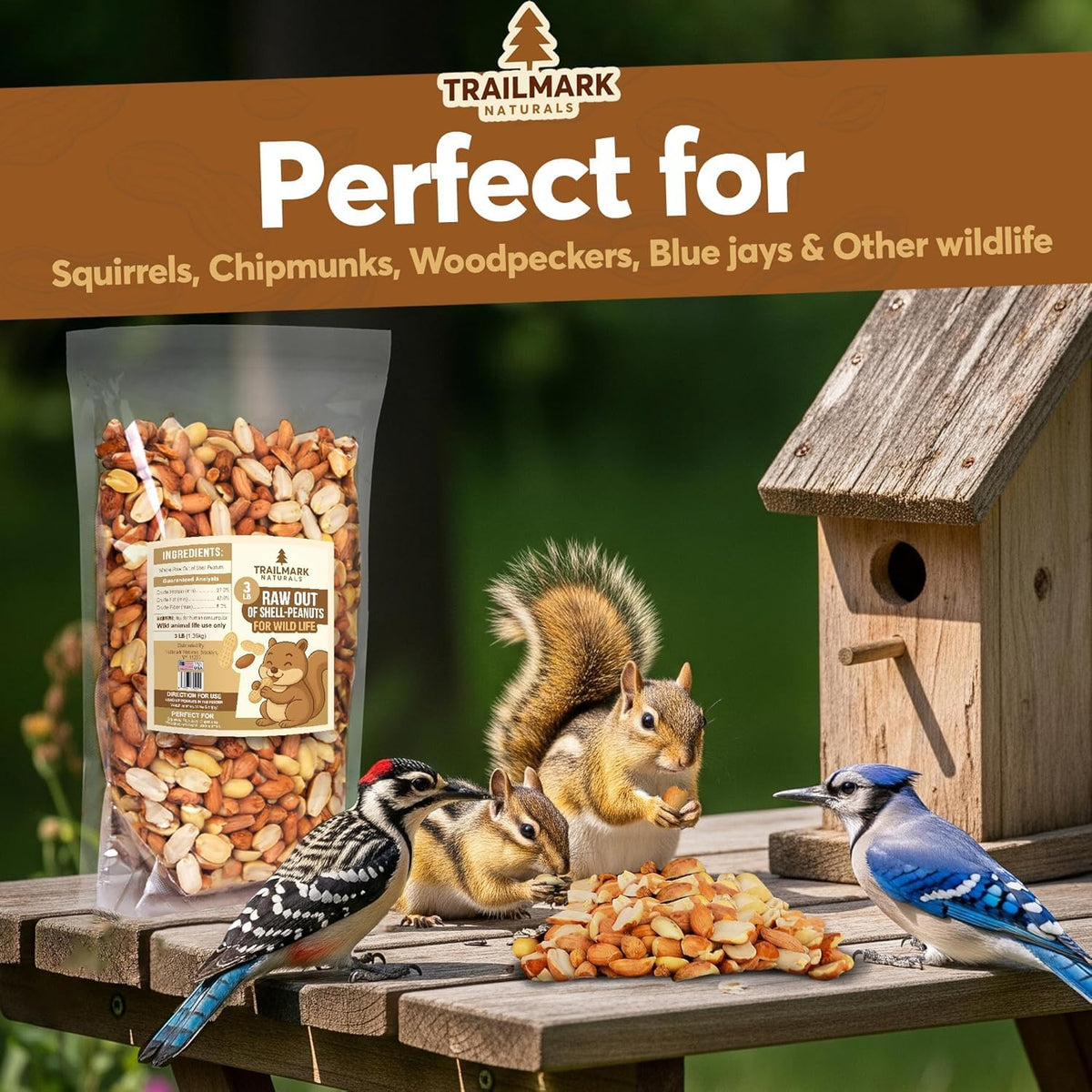 Raw Shelled Peanuts L560741