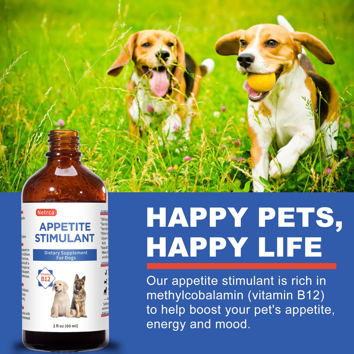 Vitamin B12 Liquid for Dogs Z561658