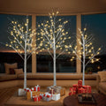 White Birch Tree Set with 246 LED Lights S812022