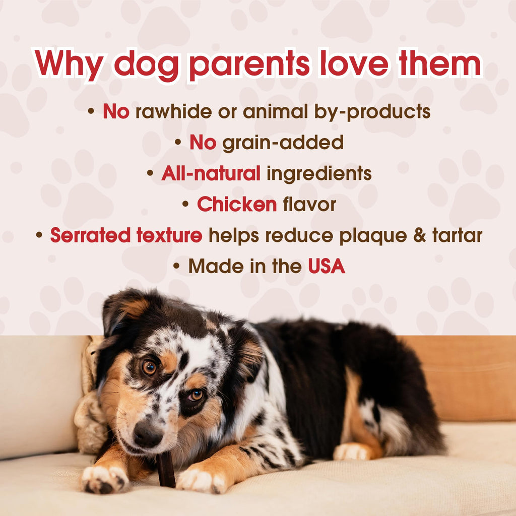 Grain-Free Dental Chew Sticks for Puppies, 6.2 oz N652