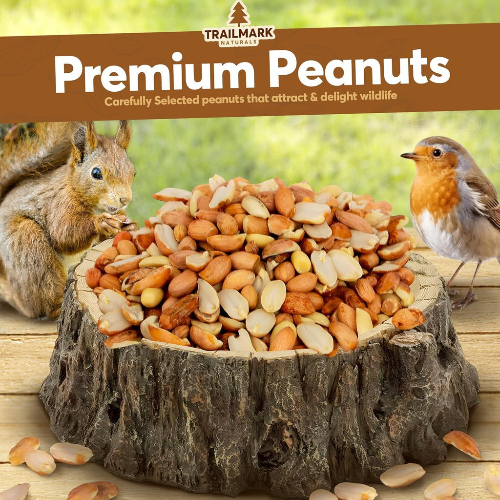 Raw Shelled Peanuts L560741
