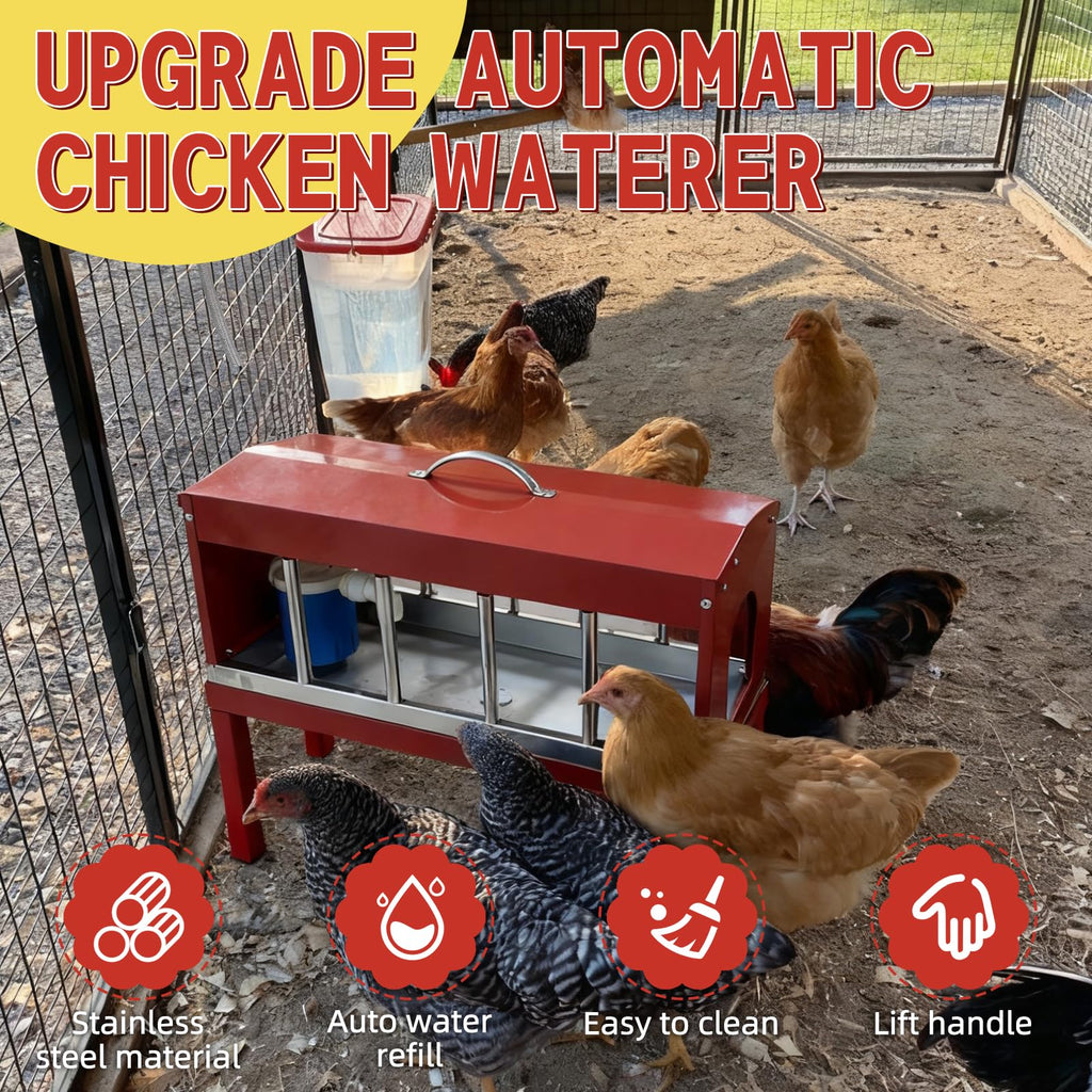 Automatic Chicken Waterer with Detachable Legs Y27085