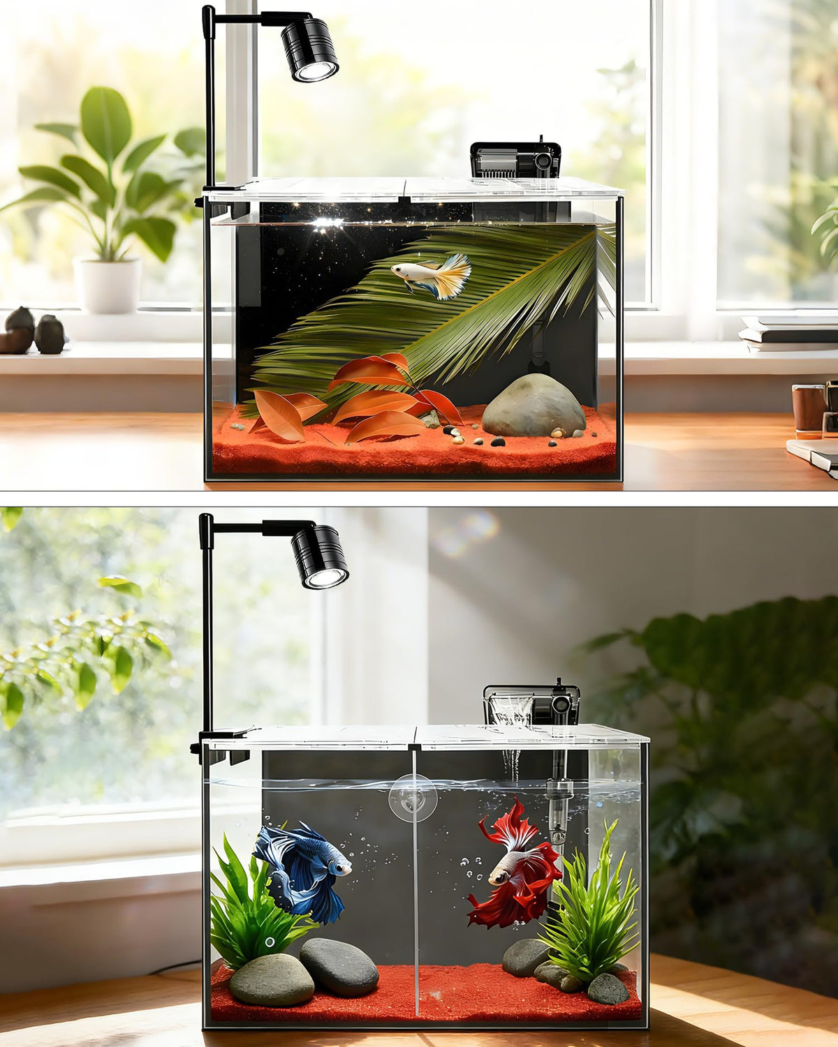 3 Gallon Ultra-Clear Glass Fish Tank with Filter and Led Light B756