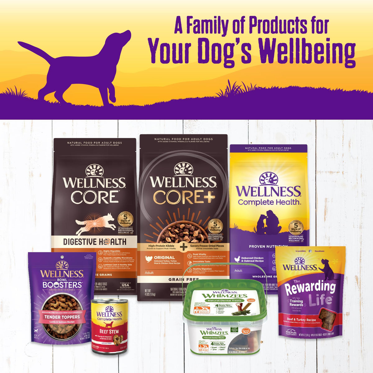 Grain Free Turkey Recipe Canned Wet Dog Food, 12.5 oz, Pack of 12 Cans U74926