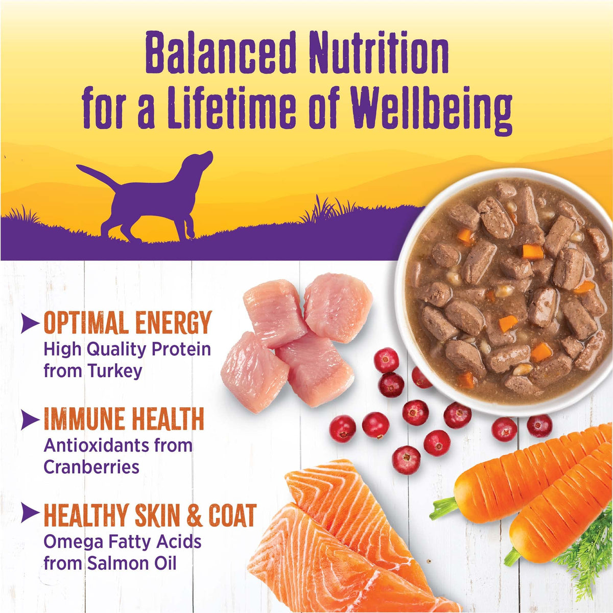 Grain Free Turkey Recipe Canned Wet Dog Food, 12.5 oz, Pack of 12 Cans U74926