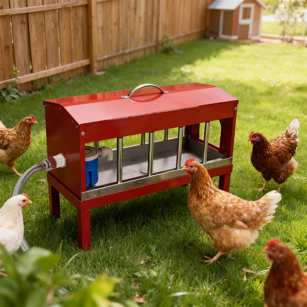 Automatic Chicken Waterer with Detachable Legs Y27085