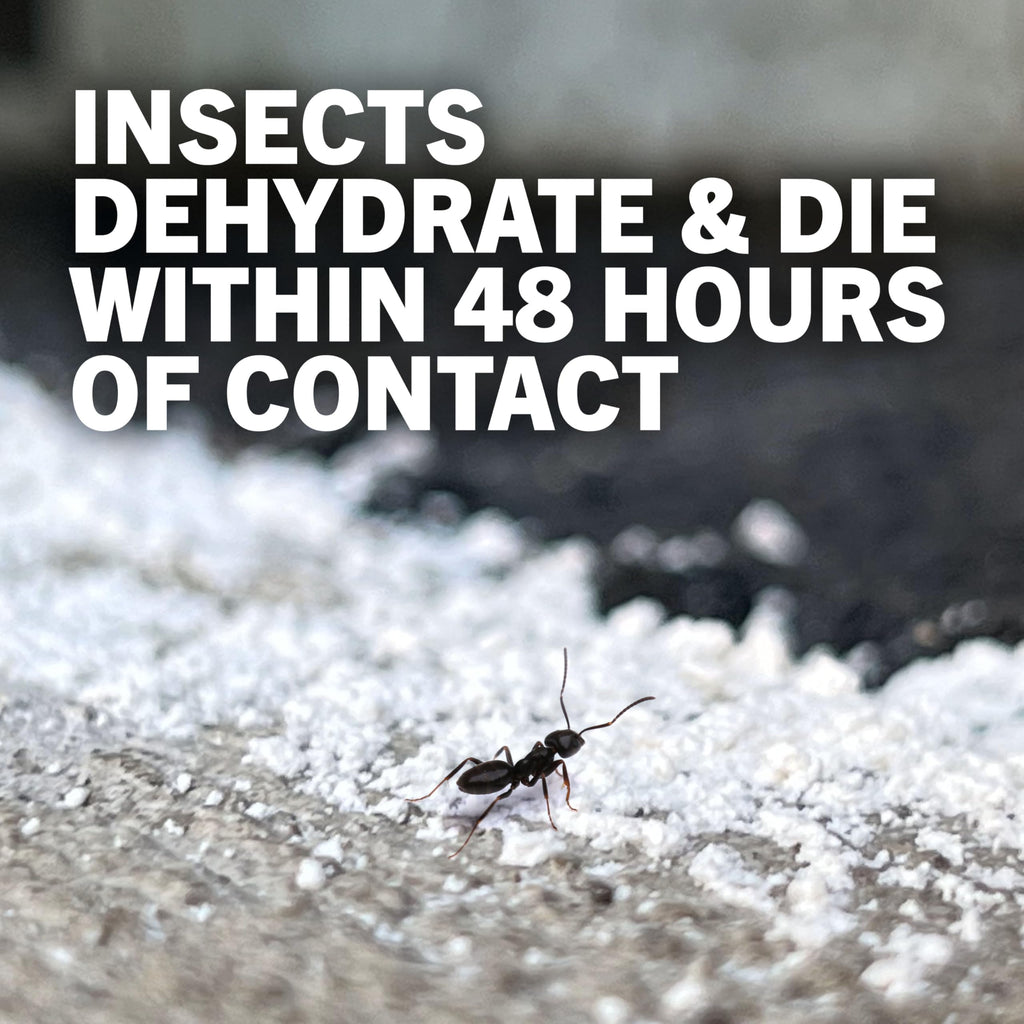 4 lb Diatomaceous Earth Crawling Insect Killer C11284