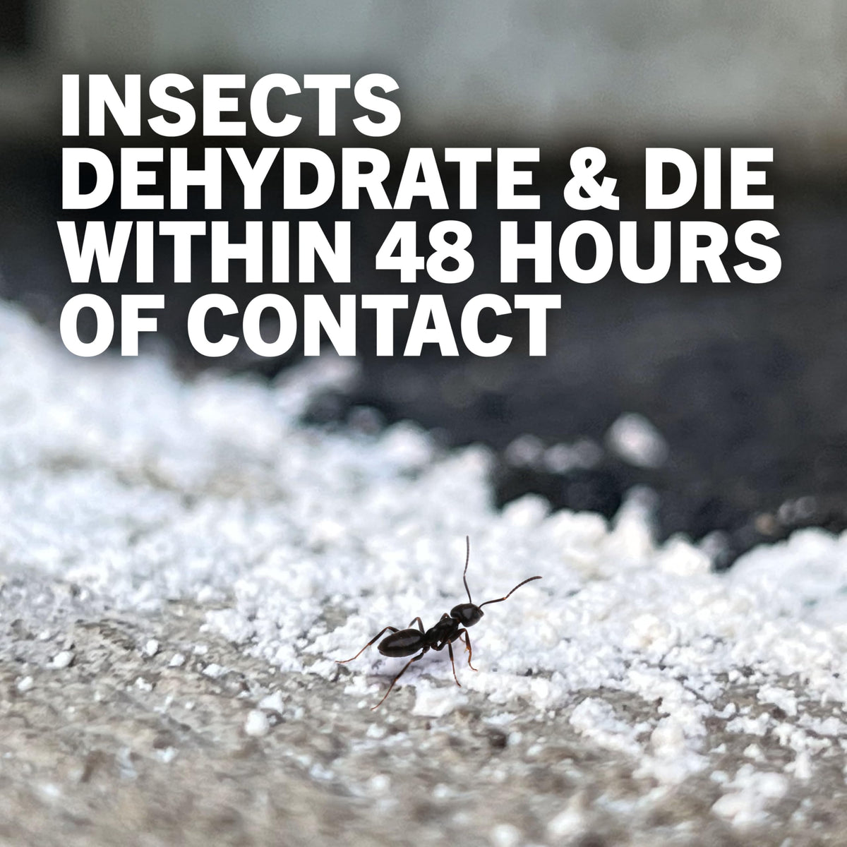 4 lb Diatomaceous Earth Crawling Insect Killer C11284